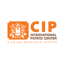 CIP International Potato Center
